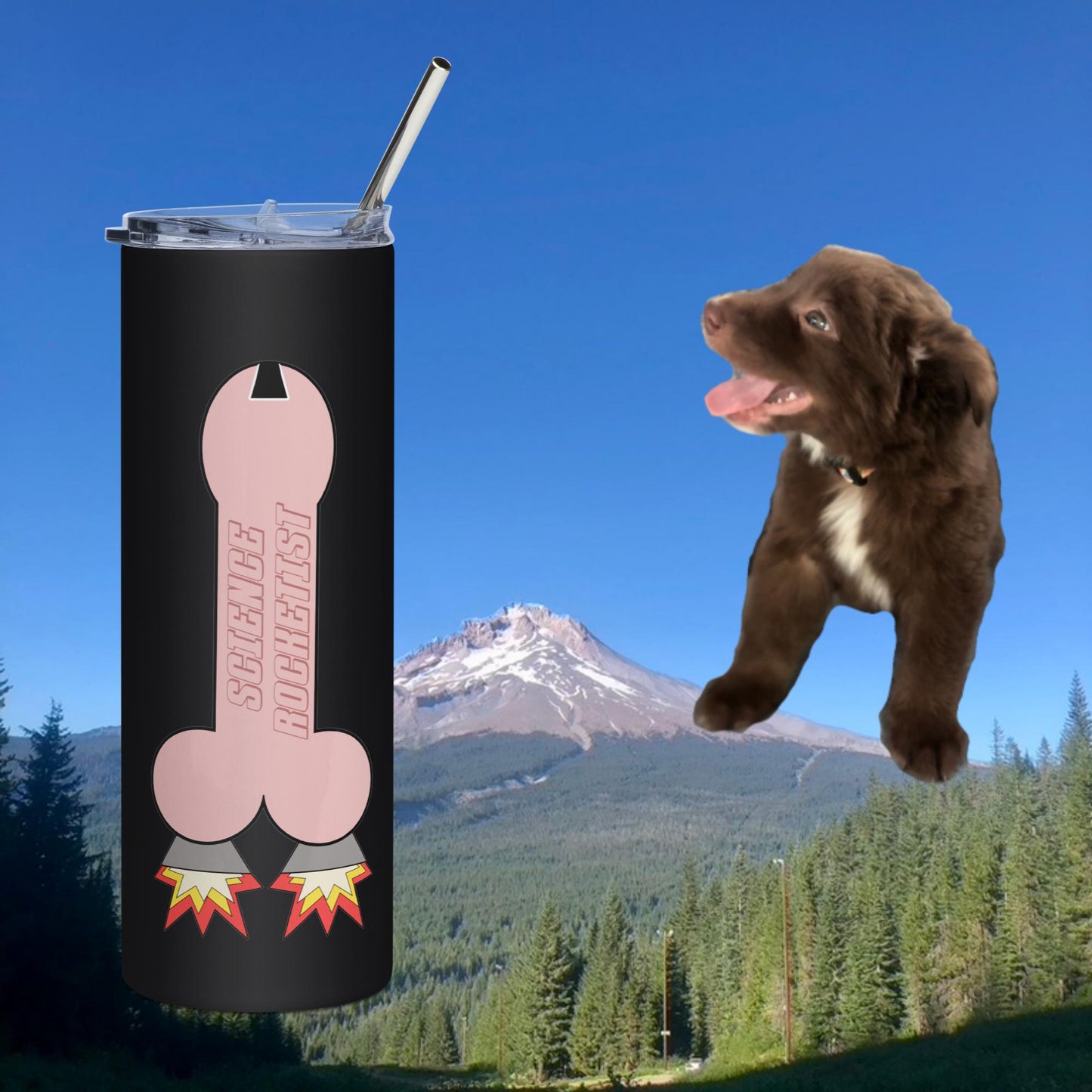 Rocket Scientist Tumbler